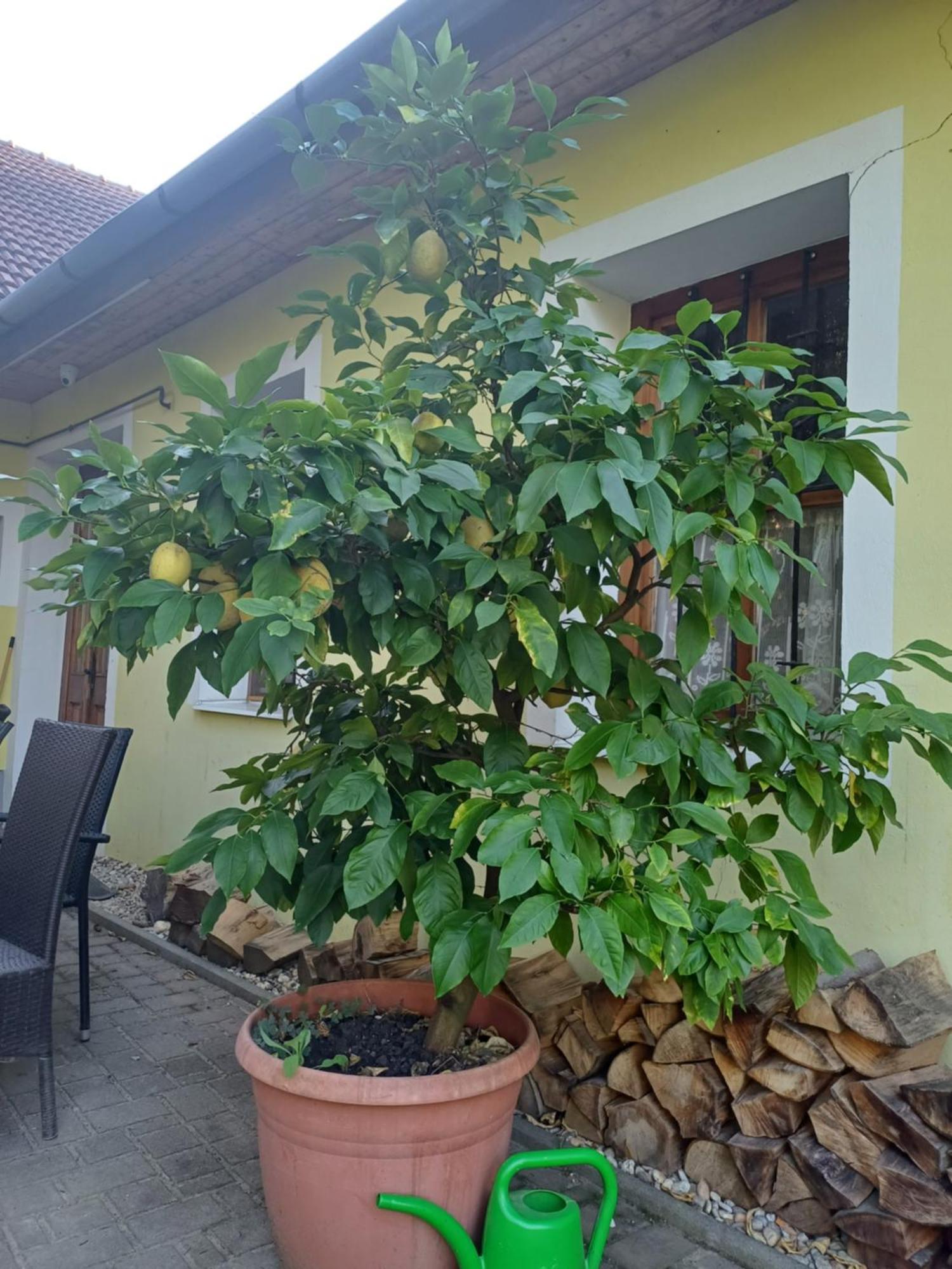 Zanati Apartmannhaz Nagykapornak ภายนอก รูปภาพ
